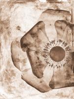 Sepia Flower Inversions 1 #102217 Sepia Flower Inversions 1 #102217