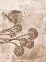 Sepia Flower Inversions 9 #102225 Sepia Flower Inversions 9 #102225