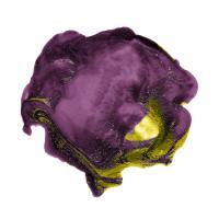 Polished in Eggplant - Recolor #102834 Polished in Eggplant - Recolor #102834