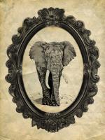 Framed Elephant #89752 Framed Elephant #89752