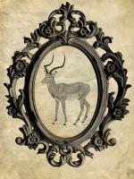 Framed Gazelle #89753 Framed Gazelle #89753