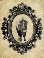 Framed Bison #89760 Framed Bison #89760
