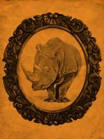 Framed Rhinoceros in Tangerine #89780 Framed Rhinoceros in Tangerine #89780
