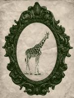 Framed Giraffe in Evergreen #89796 Framed Giraffe in Evergreen #89796