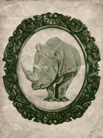 Framed Rhinoceros in Evergreen #89802 Framed Rhinoceros in Evergreen #89802
