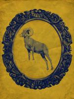 Framed Bighorn Sheep in Yellow #89812 Framed Bighorn Sheep in Yellow #89812