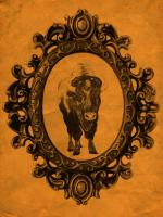 Framed Bison in Tangerine #89813 Framed Bison in Tangerine #89813
