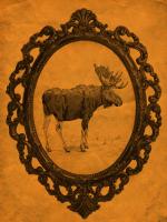 Framed Moose in Tangerine #89822 Framed Moose in Tangerine #89822
