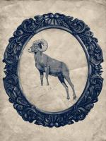 Framed Bighorn Sheep in Navy #89831 Framed Bighorn Sheep in Navy #89831