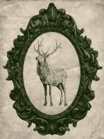 Framed Elk in Evergreen #89838 Framed Elk in Evergreen #89838