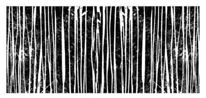 Starkly Lined D #90901 Starkly Lined D #90901
