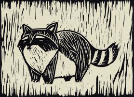 Raccoon Linocut #90961 Raccoon Linocut #90961