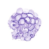 Cellular Clouds in Purple B #91969 Cellular Clouds in Purple B #91969