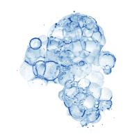 Cellular Clouds in Blue A #91974 Cellular Clouds in Blue A #91974