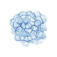 Cellular Clouds in Blue C #91976 Cellular Clouds in Blue C #91976