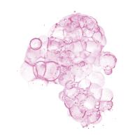 Cellular Clouds in Pink A #91980 Cellular Clouds in Pink A #91980