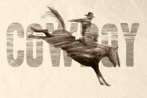 Cowboy #92179 Cowboy #92179