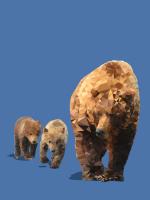 Fractal Bears #98788 Fractal Bears #98788