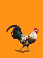 Fractal Rooster #98790 Fractal Rooster #98790