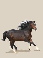 Fractal Horse #98793 Fractal Horse #98793