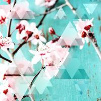 Crystalized Cherry Blossoms #98858 Crystalized Cherry Blossoms #98858