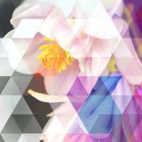 Crystalized Bellflowers #98860 Crystalized Bellflowers #98860