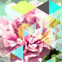 Crystalized Peonies #98861 Crystalized Peonies #98861