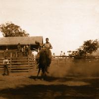 Arena Rider #86919 Arena Rider #86919