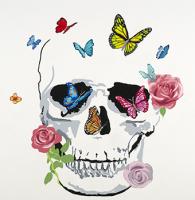 Butterfly Flower Skull #UHIB-429 Butterfly Flower Skull #UHIB-429