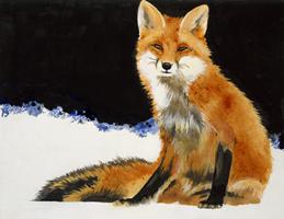 Fox #UJAR-113 Fox #UJAR-113