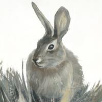 Wild Hare II V1 #UJAR-177-ALT-V1 Wild Hare II V1 #UJAR-177-ALT-V1