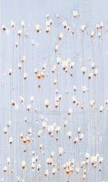 String Theory V1 #UKUT-165-ALT-V1 String Theory V1 #UKUT-165-ALT-V1