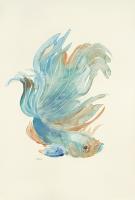 Betta I #UMAN-108 Betta I #UMAN-108