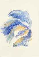 Betta II #UMAN-109 Betta II #UMAN-109