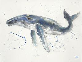 Humpback Whale #UMAN-130-ALT-V1 Humpback Whale #UMAN-130-ALT-V1