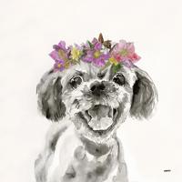 Flowered Pup II #UMAN-155-ALT-V1 Flowered Pup II #UMAN-155-ALT-V1