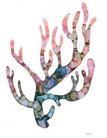 Sea Coral II #UMAN-163 Sea Coral II #UMAN-163