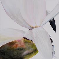 White Magnolia #USTL-107 White Magnolia #USTL-107