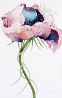 Paris Poppy II #USTL-117 Paris Poppy II #USTL-117