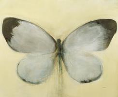 Chrysalis #USTO-105 Chrysalis #USTO-105