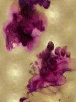 Entice II #UT114581 Entice II #UT114581