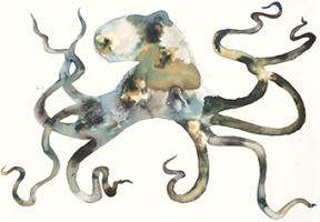Octo #UVAN-184 Octo #UVAN-184