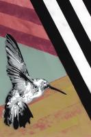 Hummingbird - Recolor #102842 Hummingbird - Recolor #102842
