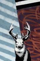 Deer - Recolor #102843 Deer - Recolor #102843