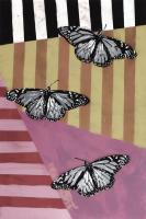 Butterfly - Recolor #102844 Butterfly - Recolor #102844