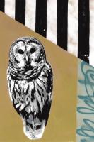 Barred Owl - Recolor #102845 Barred Owl - Recolor #102845