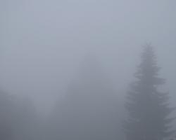 Foggy Morning 4 #90841 Foggy Morning 4 #90841