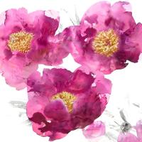 Pink Bloom II #VAU112199 Pink Bloom II #VAU112199