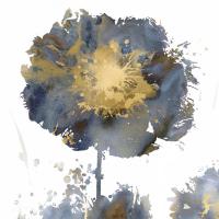 Flower Burst I #VAU113303 Flower Burst I #VAU113303