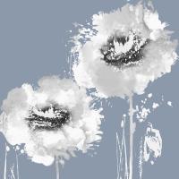 Flower Burst on Grey I #VAU113497 Flower Burst on Grey I #VAU113497